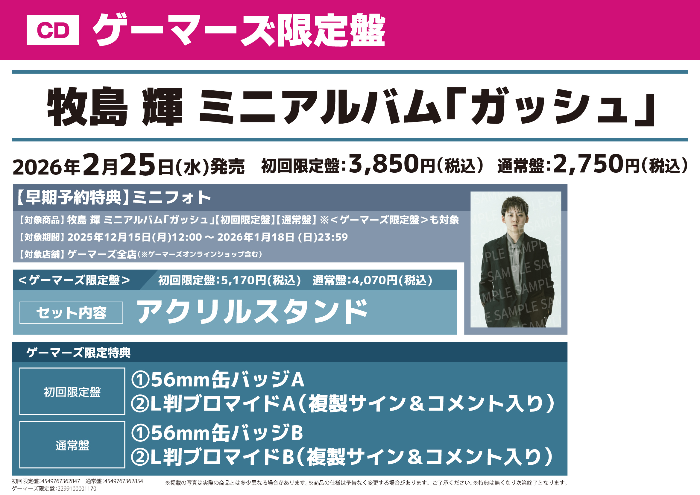 �Q�[�}�[�Y,�X�ܓ��T,�K�b�V��,�q���P